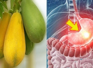 Đau dạ dày có ăn được đu đủ không? Một số lưu ý khi dùng đu đủ cho người bị dạ dày